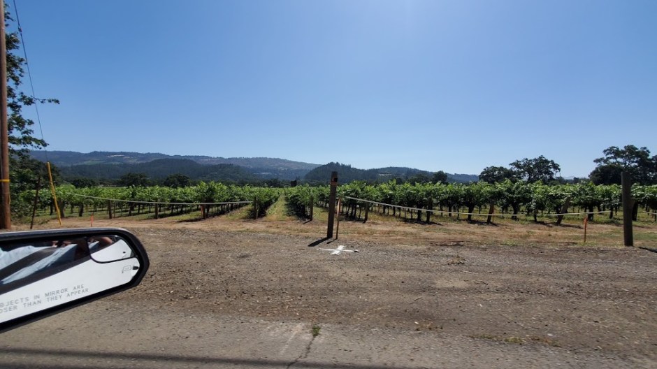 DRIVING WINE COUNTRY 1 DAY 4 CA 2019
