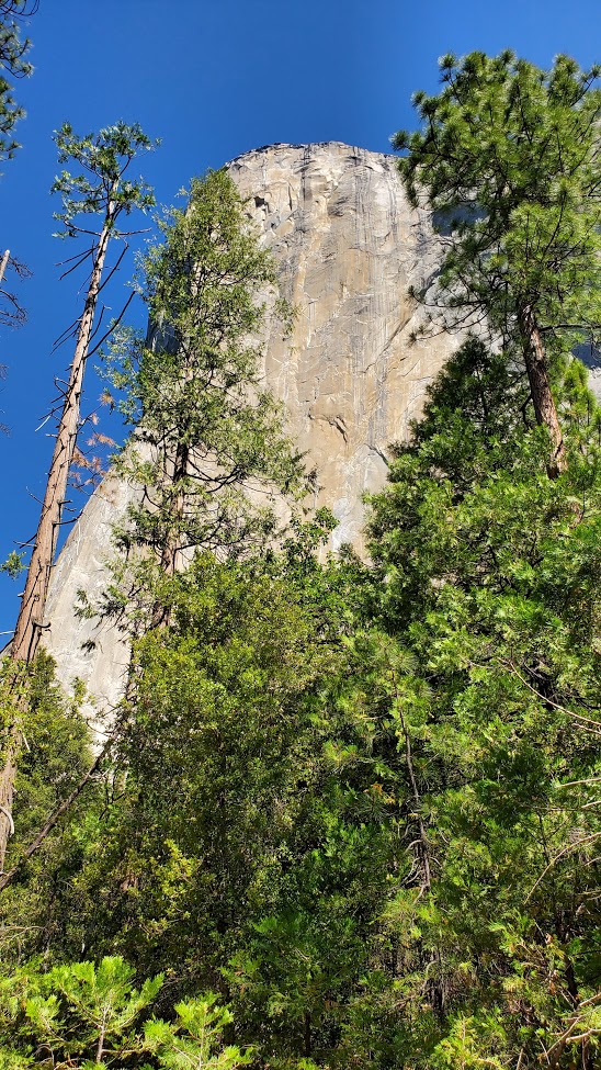 EL CAP DAY 6 CA 2019.jpg