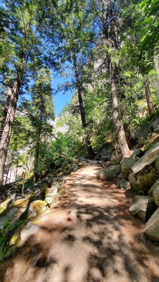 MIST TRAIL 10 DAY 5 CA 2019