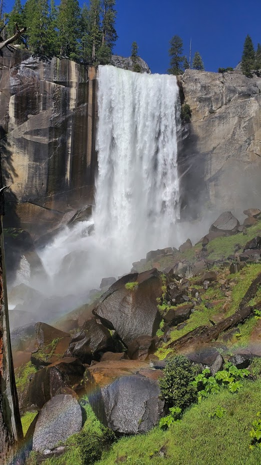 MIST TRAIL 12 DAY 5 CA 2019.jpg