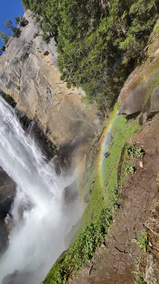 MIST TRAIL 13 DAY 5 CA 2019.jpg