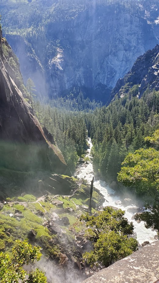 MIST TRAIL 15 DAY 5 CA 2019.jpg