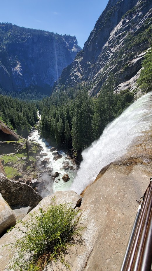 MIST TRAIL 16 DAY 5 CA 2019.jpg