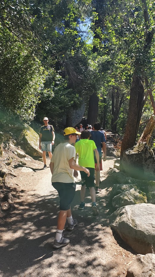 MIST TRAIL 3 DAY 5 CA 2019.jpg