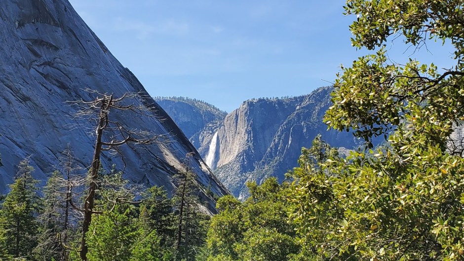 MIST TRAIL 5 DAY 5 CA 2019.jpg