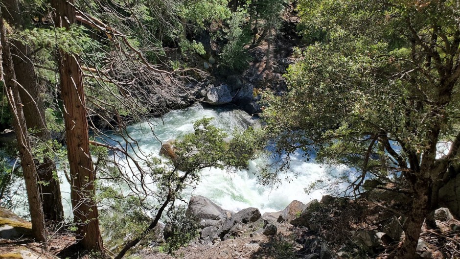 MIST TRAIL 7 DAY 5 CA 2019.jpg