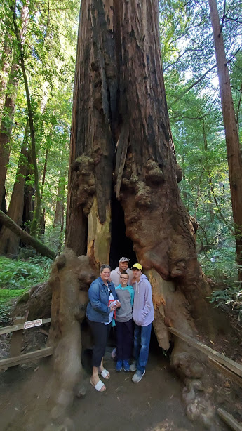 MUIR 12 DAY 3 CA 2019