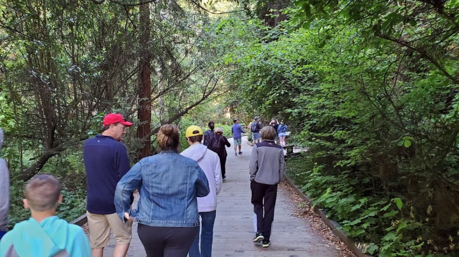 MUIR 2 DAY 3 CA 2019