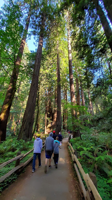 MUIR 8 DAY 3 CA 2019.jpg