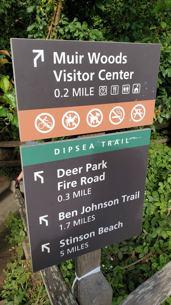 MUIR SIGN DAY 3 CA 2019.jpg