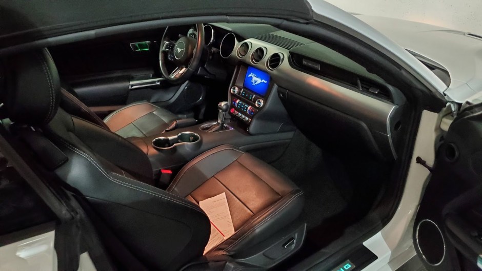 MUSTANG 2DAY 2 CA 2019.jpg