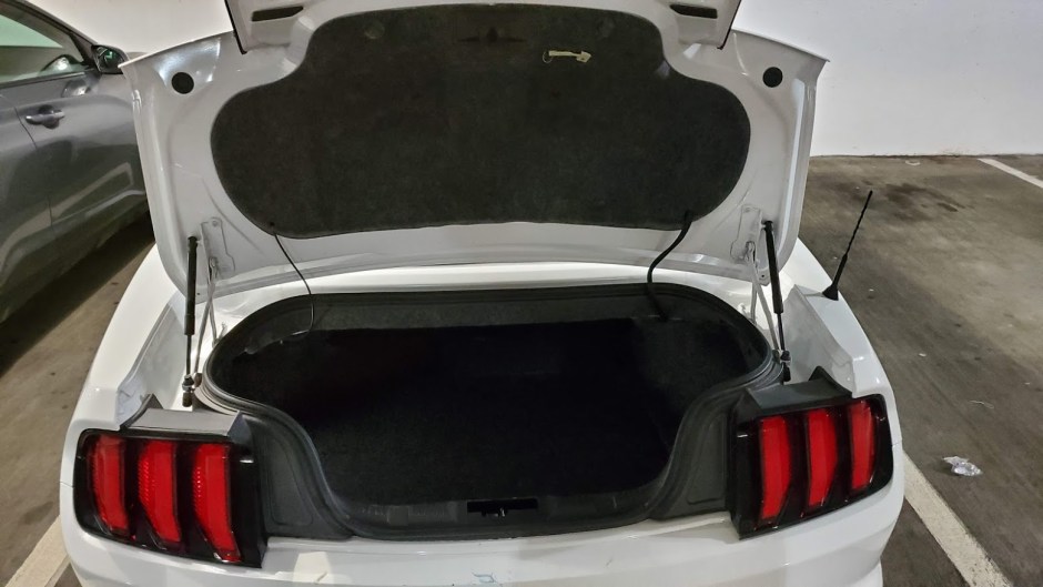 MUSTANG 5 DAY 2 CA 2019.jpg