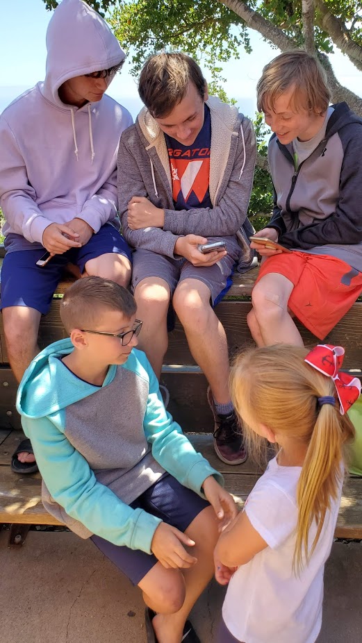 NEPENTHE 6 DAY 7 CA 2019.jpg