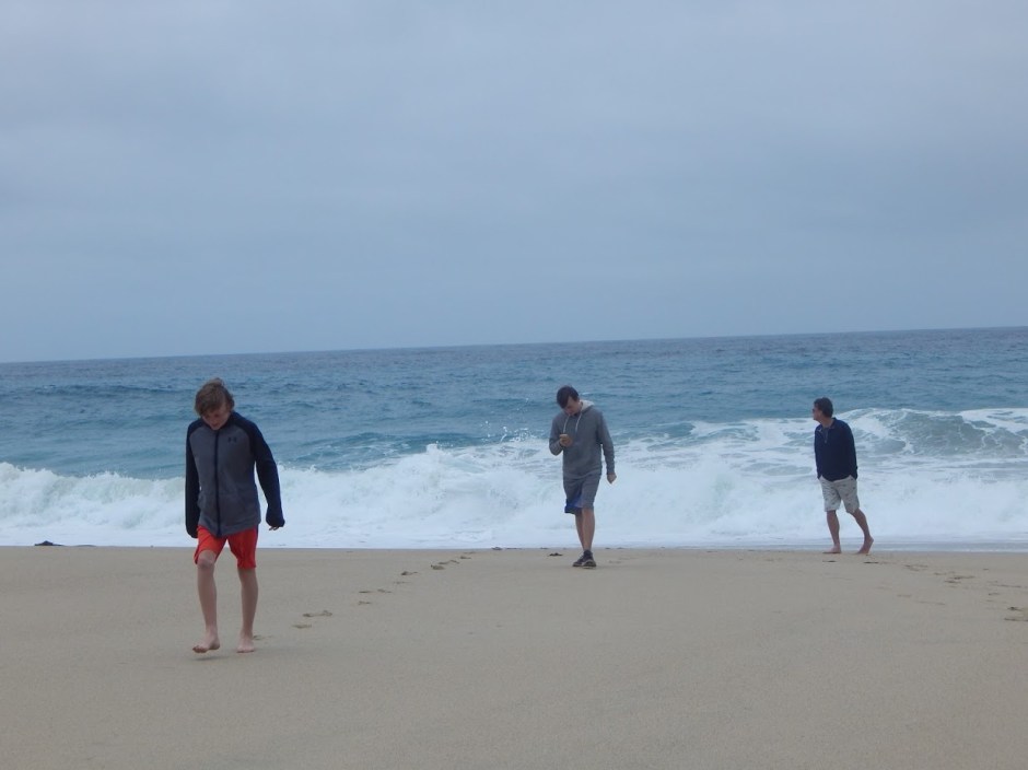 NERNEY BEACH 2 DAY 7 CA 2019.JPG