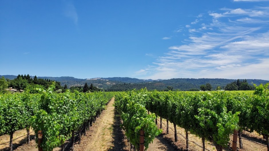 SATTUI 1 DAY 3 CA 2019