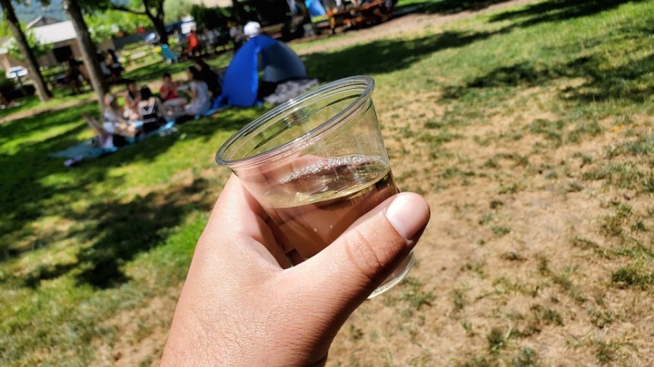 SATTUI 5 DAY 3 CA 2019.jpg