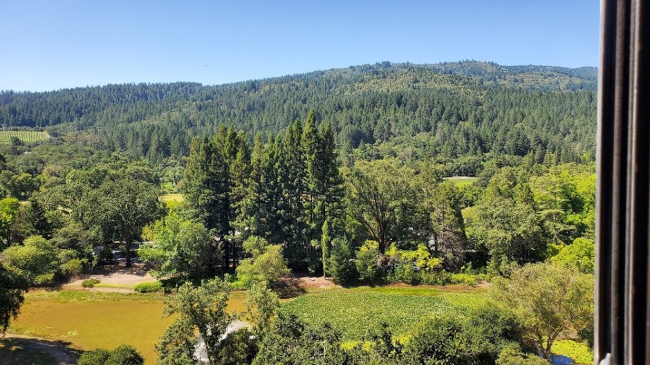 TRAM VIEW 2 DAY 4 CA 2019.jpg