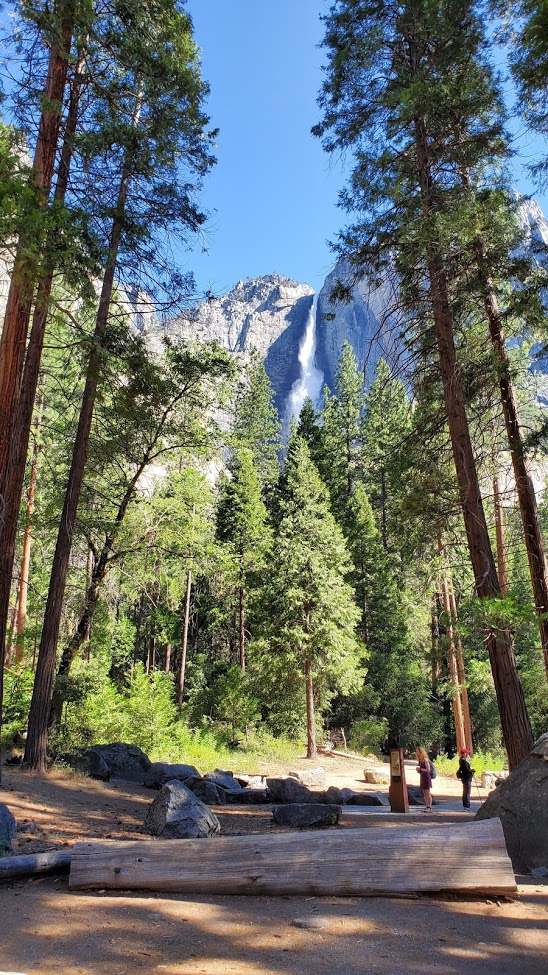 YOSEMITE FALLS 1 DAY 6 CA 2019.jpg