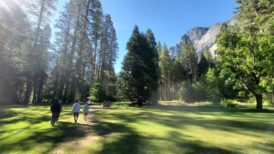 YOSEMITE MEADOW DAY 6 CA 2019.jpg