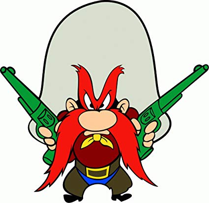 YOSEMITE SAM CA 2019.jpg