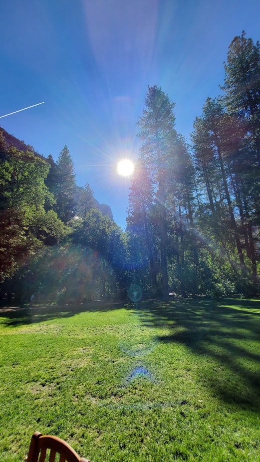 YOSEMITE SUN DAY 6 CA 2019