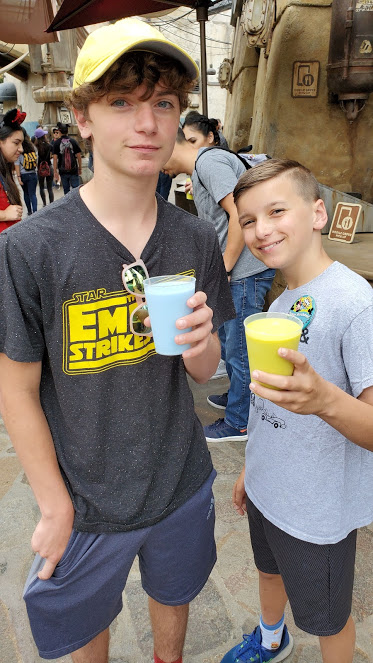 BLUE AND GREEN MILK DAY 11 CA 2019