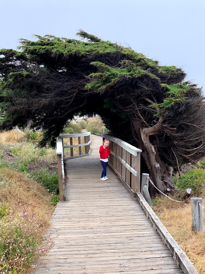 BOARDWALK 1 DAY 8 CA 2019.jpg
