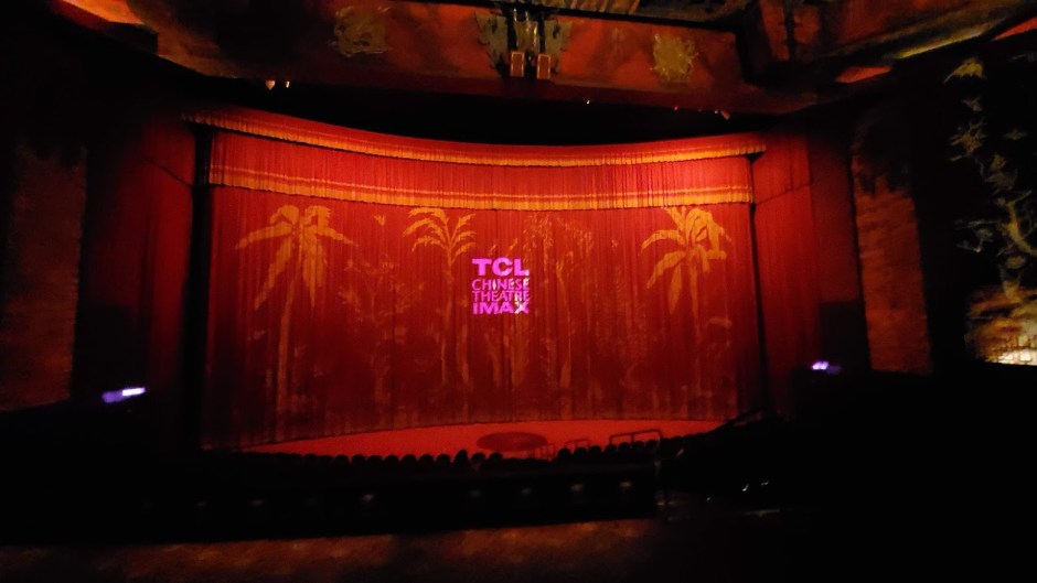 CHINESE THEATER 2 DAY 10 CA 2019.jpg