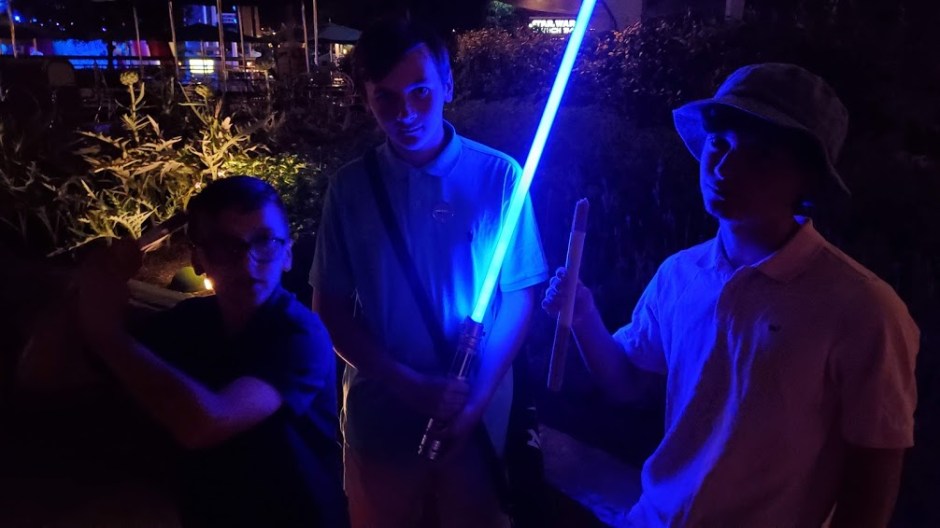 DISNEY NIGHT 2 DAY 11 CA 2019