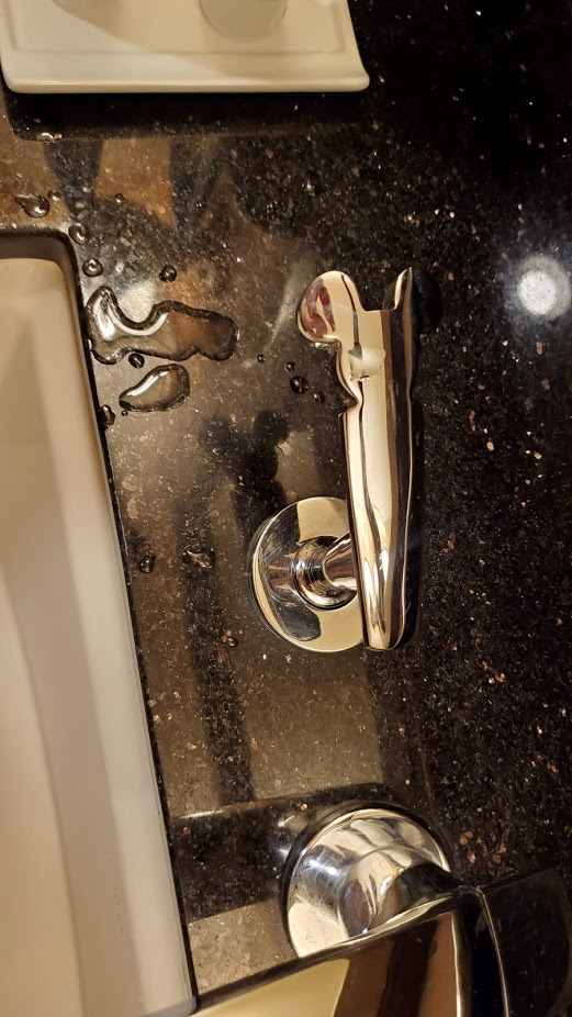 DISNEYLAND HOTEL 10 CA 2019.jpg