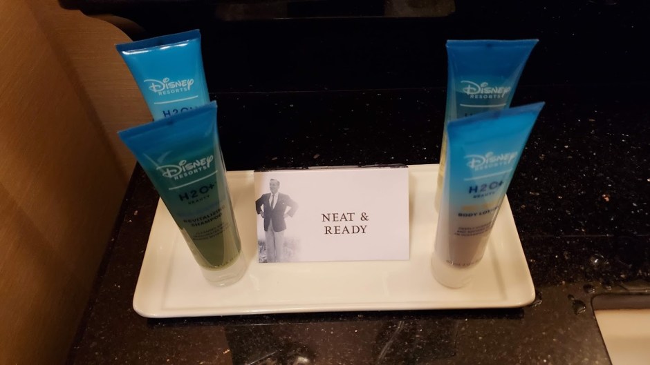 DISNEYLAND HOTEL 13 CA 2019.jpg