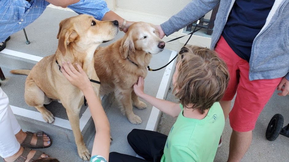 DOGS 1 DAY 9 CA 2019.jpg