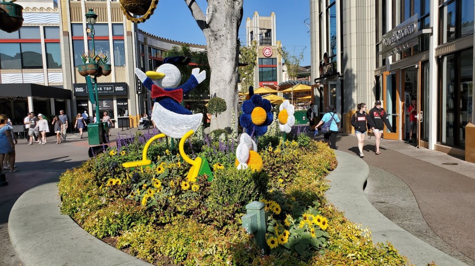 DONALD 1 DAY 12 CA 2019.jpg