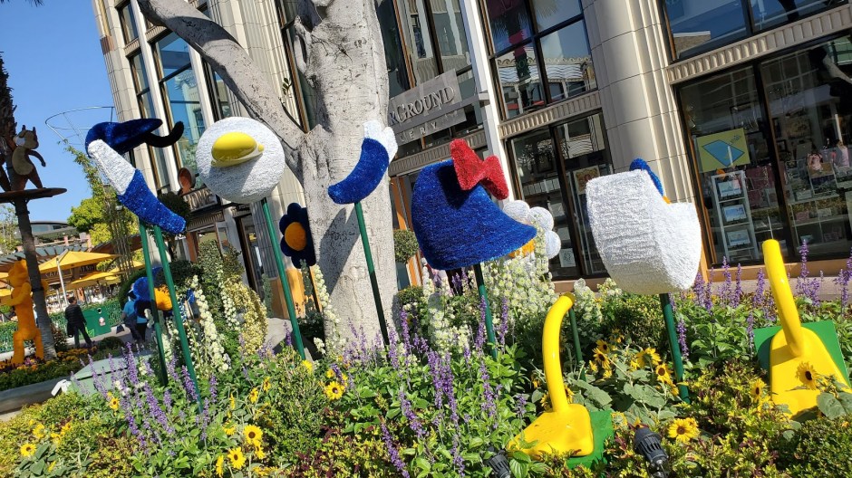 DONALD 2 DAY 12 CA 2019.jpg