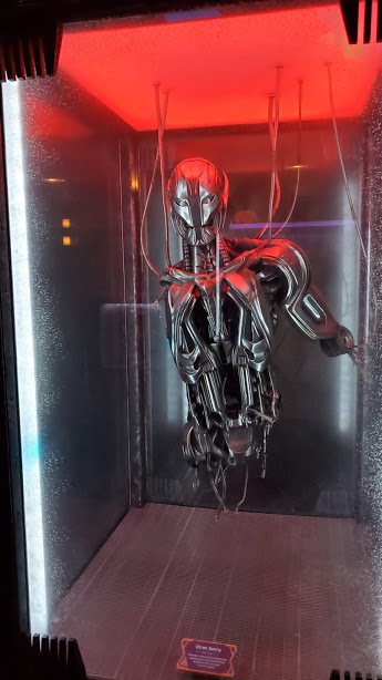 GUARDIANS 2 DAY 12 CA 2019.jpg