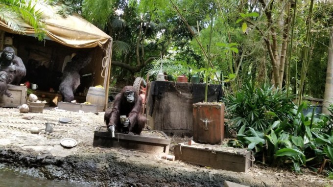 JUNGLE CRUISE DAY 11 CA 2019.jpg
