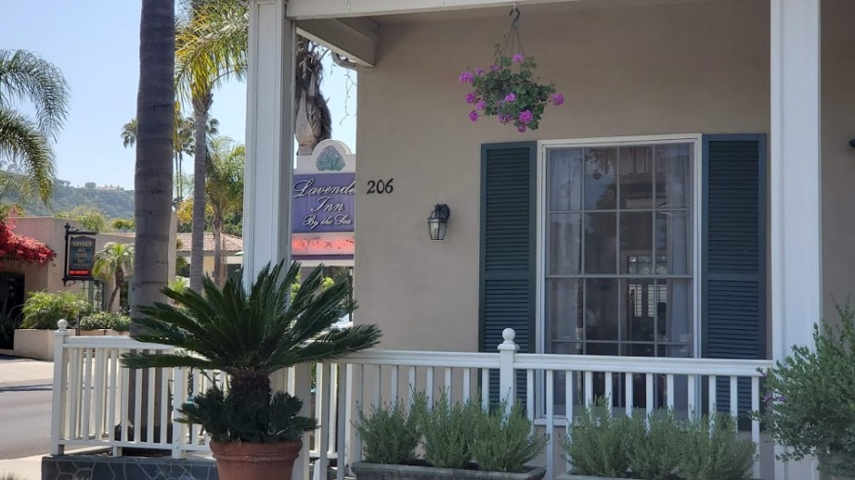 LAVENDER INN DAY 9 CA 2019.jpg