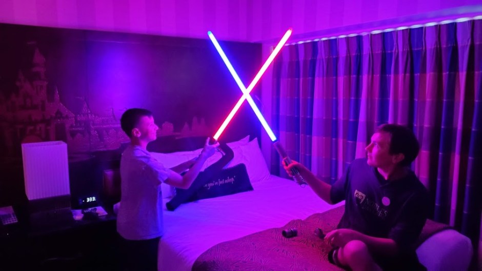 LIGHT SABER FIGHT DAY 11 CA 2019