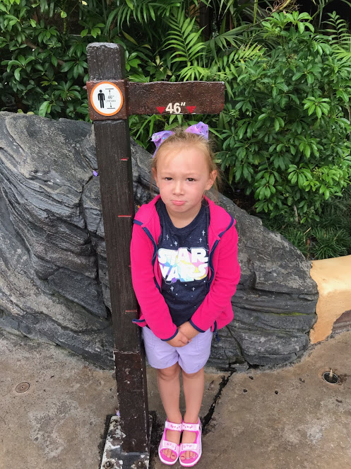 MIA INDY DAY 11 CA 2019.JPG