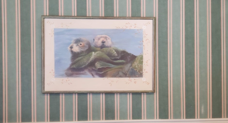 OTTER PIC DAY 8 CA 2019.jpg