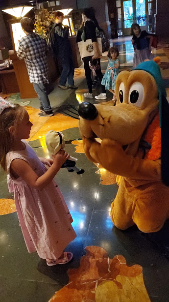 PLUTO 1 DAY 11 CA 2019.jpg