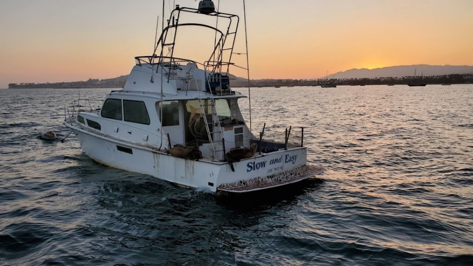 SAILBOAT 15 DAY 9 CA 2019.jpg