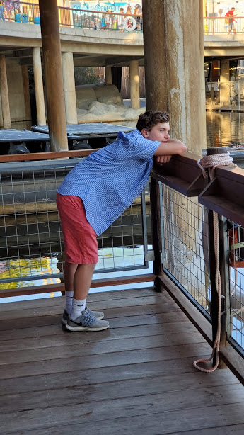 THE OFFICE 5 DAY 12 CA 2019