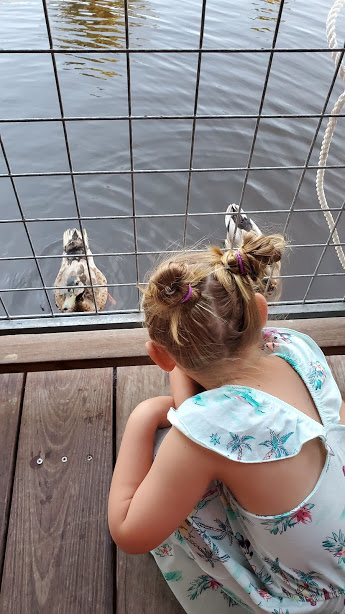 THE OFFICE 7 DAY 12 CA 2019