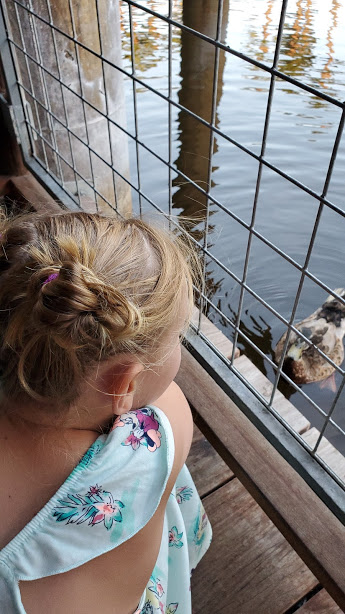 THE OFFICE 8 DAY 12 CA 2019.jpg