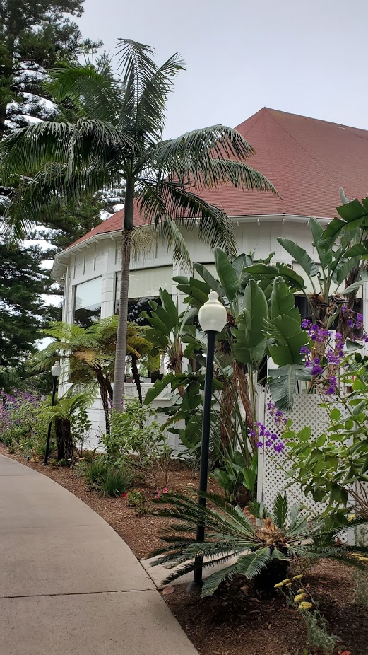 HDC 2 DAY 17 CA TRIP 2019