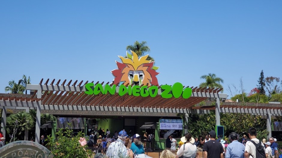 SD ZOO 1 DAY 16 CA 2019.jpg