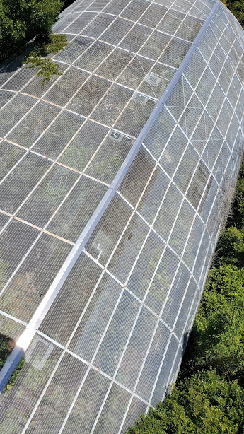 SD ZOO 10 DAY 16 CA 2019.jpg