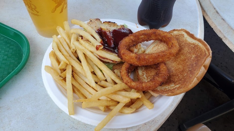 SD ZOO 24 DAY 16 CA 2019.jpg