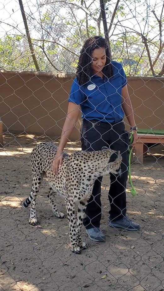 SD ZOO 36 DAY 16 CA 2019
